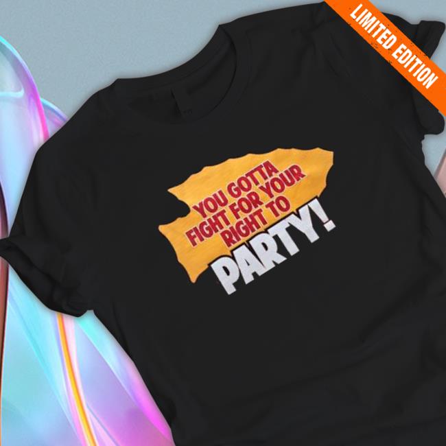 You Gotta Fight For Your Right To Party Hoodie