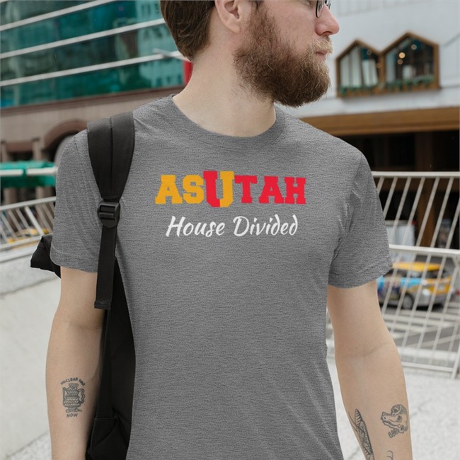 Asutah House Divided Hat Asutah House Divided T Shirt Dark HeatherUniformity Cole Streeper