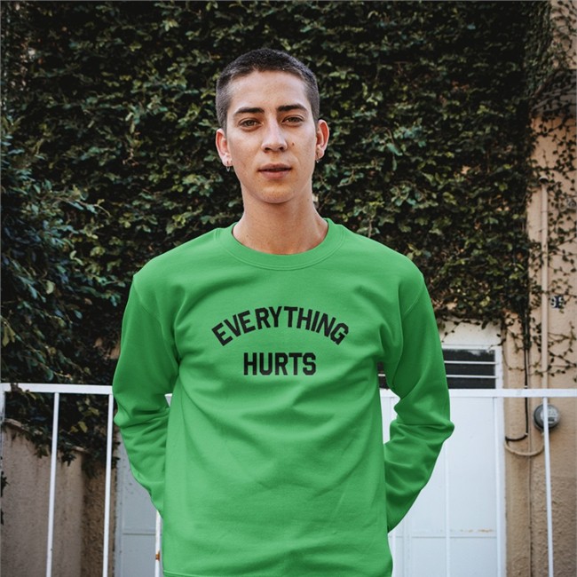 Everything Hurts Shirts Dan Santat Dan Santat Everything Hurts Sweatshirt