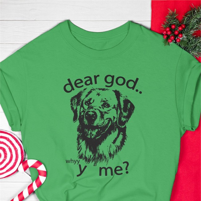 Dear God Why Y Me Hooded Sweatshirt Dear God Why Y Me Shirt 2022 Shirts That Go Hard