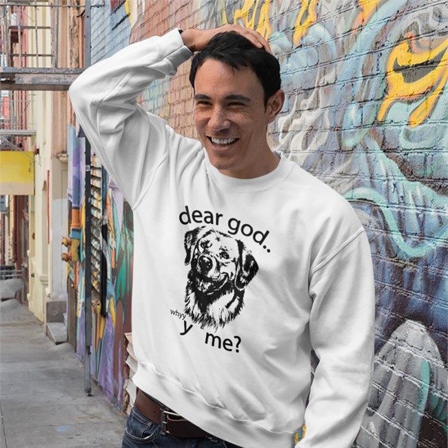 Dear God Why Y Me Hooded Sweatshirt Dear God Why Y Me Shirt Shirtsthtgohard