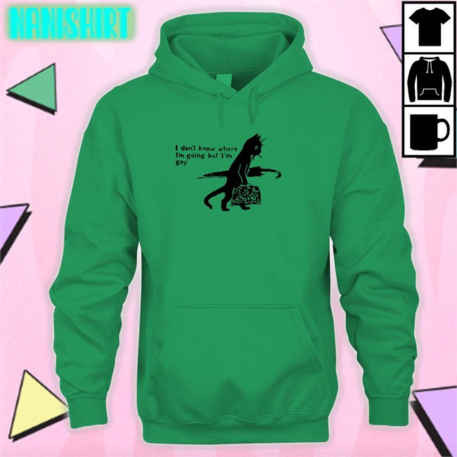 I Don’T Know Where I’M Going But I’M Gay Shir Shirtsthtgohard Shirts That Go Hard Shirts That Go Hard I Don’T Know Where I’M Going But I’M Gay V Neck T Shirt Shirtsthtgohard