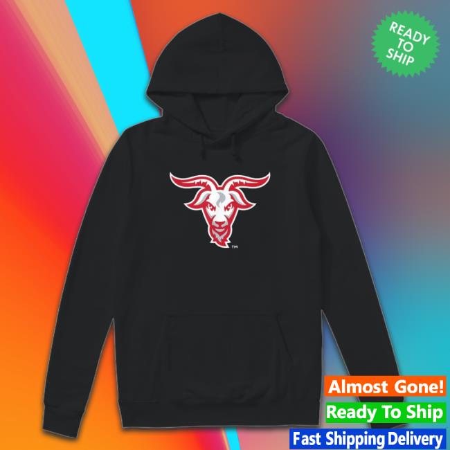 Wpi Engineers Icon Ly Licensed Sweatshirts