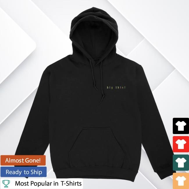 Dragon Popover Hoodie Big Thief Store Official