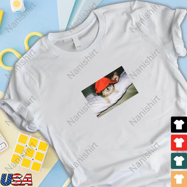 Layover Merch BTS Taehyung Yeontan Shirts