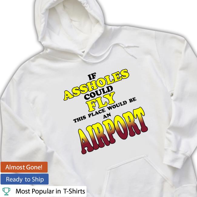 Drake If Assholes Could Fly This Place Would Be An Airport Crewneck Sweatshirt