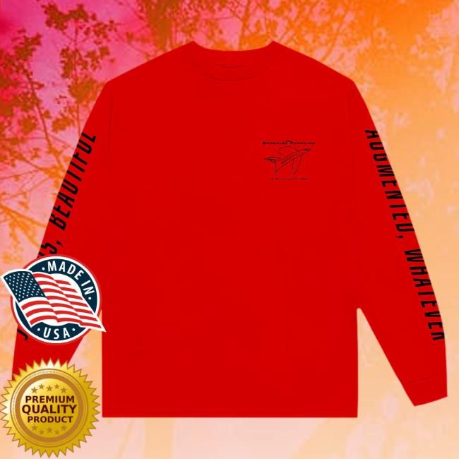 Official Smashing Pumpkins Merch Store The Smashing Pumpkins The Aeroplane Flies High Long Sleeve