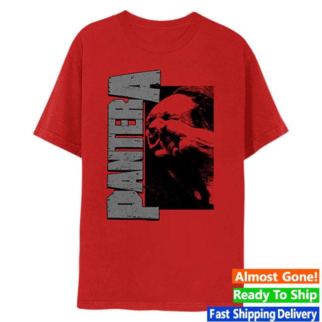 Official Pantera Merch Store Shop Pantera Vulgar World Tour 2023 Red T-Shirts
