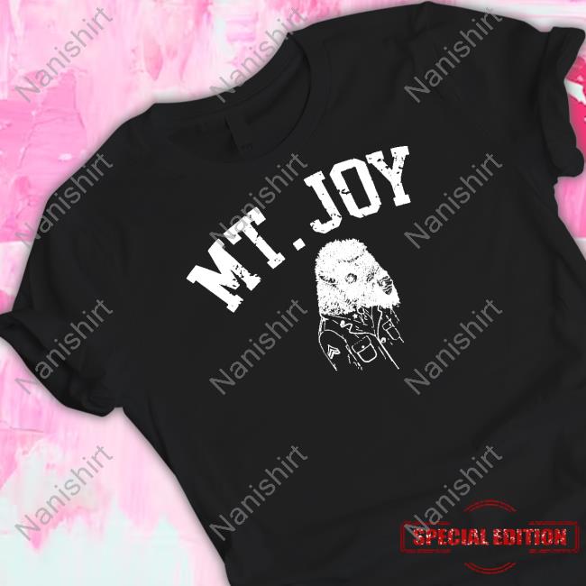 Mt Joy Buffalo Hooded Sweatshirt