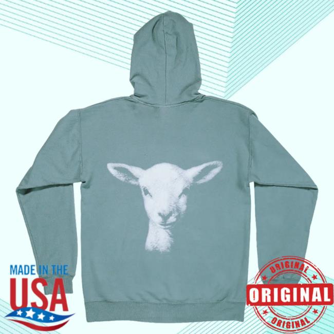 Official Elevation Church Merch Store Elevation Church Lion Album Artwork Popover Hoodie - Cypress Green Elevation Church Apparel ElevationChurch