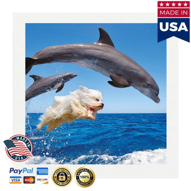 Dolphins And Dog Tee