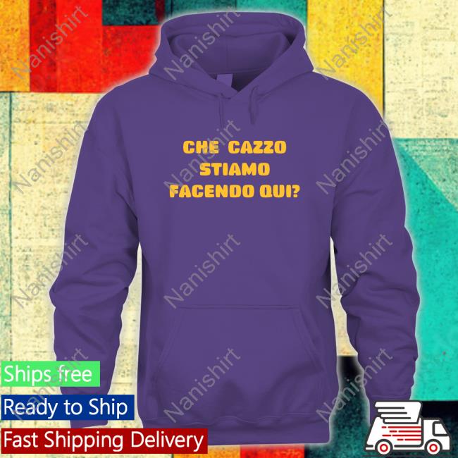 Stephen King Che Cazzo Stiamo Facendo Qui Hoodie