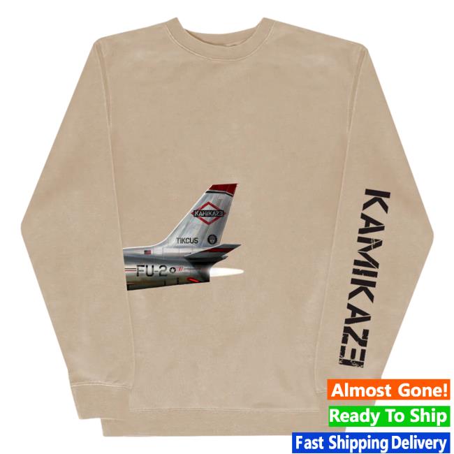 Eminem Slim Shady Clothing Shop Store Plane Kamikaze Album Long Sleeve SlimShady Merch