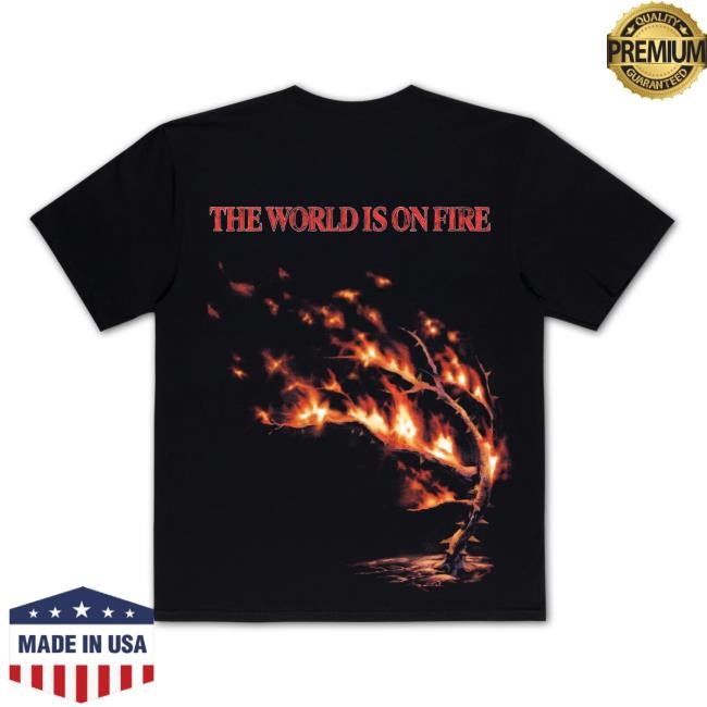 World On Fire Shirt Big Sean | Official Store