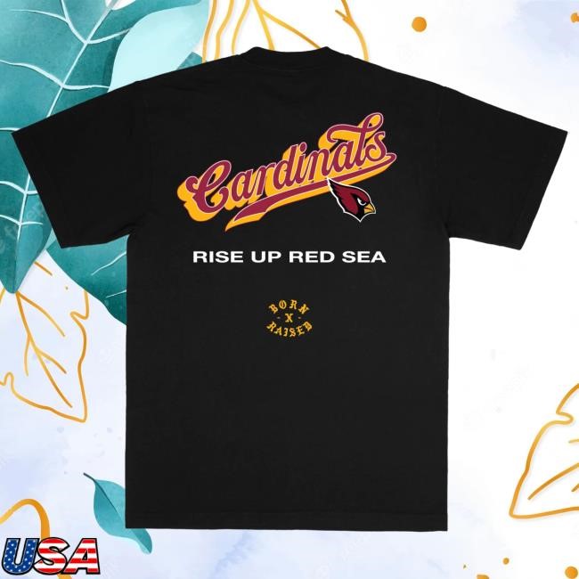 Official Born X Raised Store Born X Raised + Cardinals Pro Script T Shirt: Black NFL 2025 Kickoff